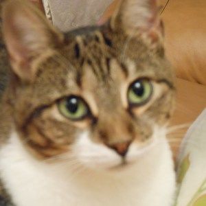 Meet your Posher, Donna